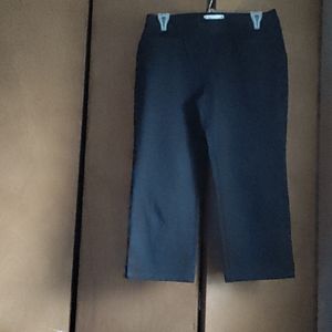✨ Talbots women's size 6p navy blue pants